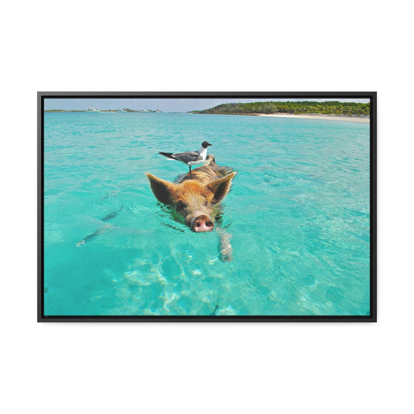 Ocean hog - Gallery Canvas Wraps, Horizontal Frame