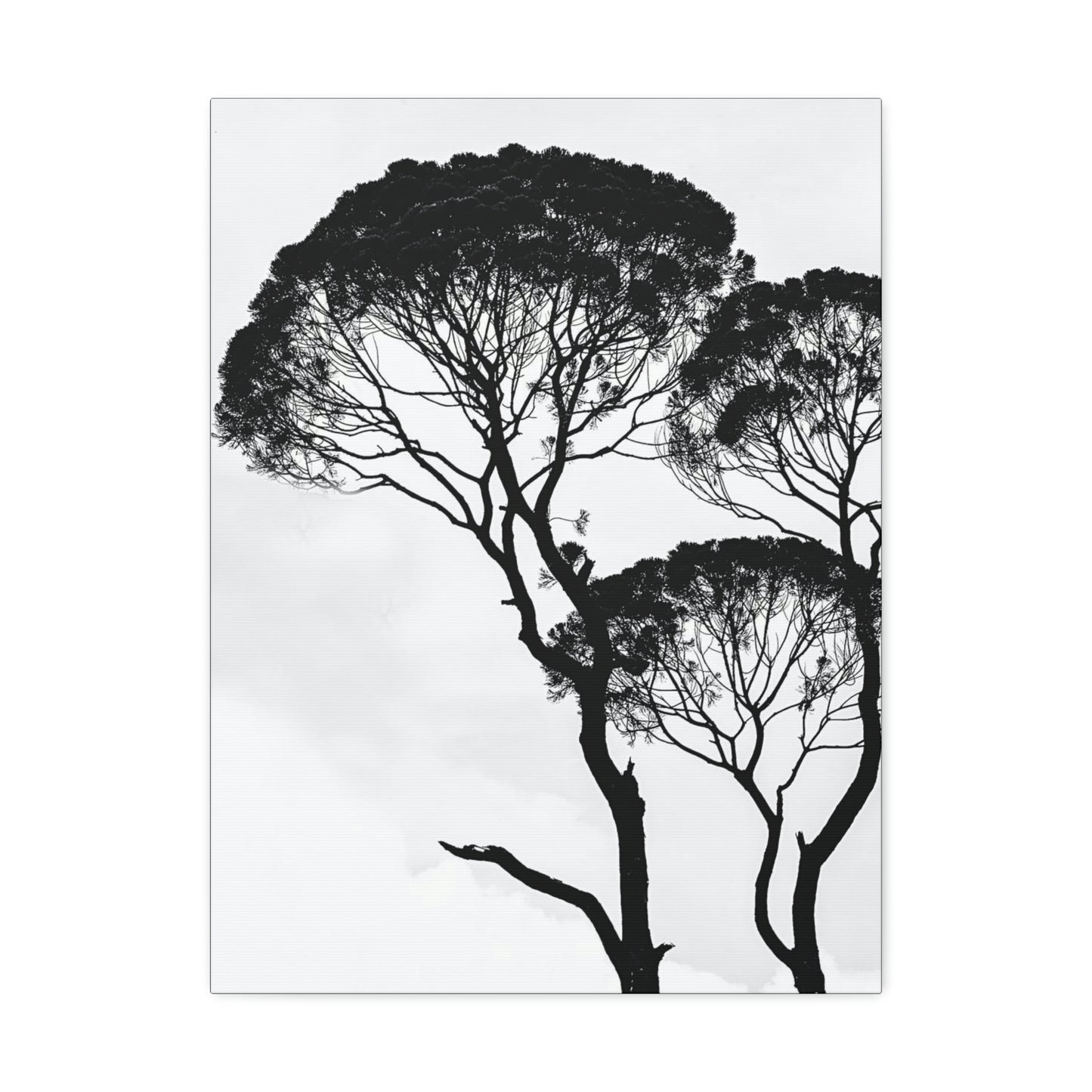 Black and White Trees, Trees, Savannah, Safari - Polyester Canvas