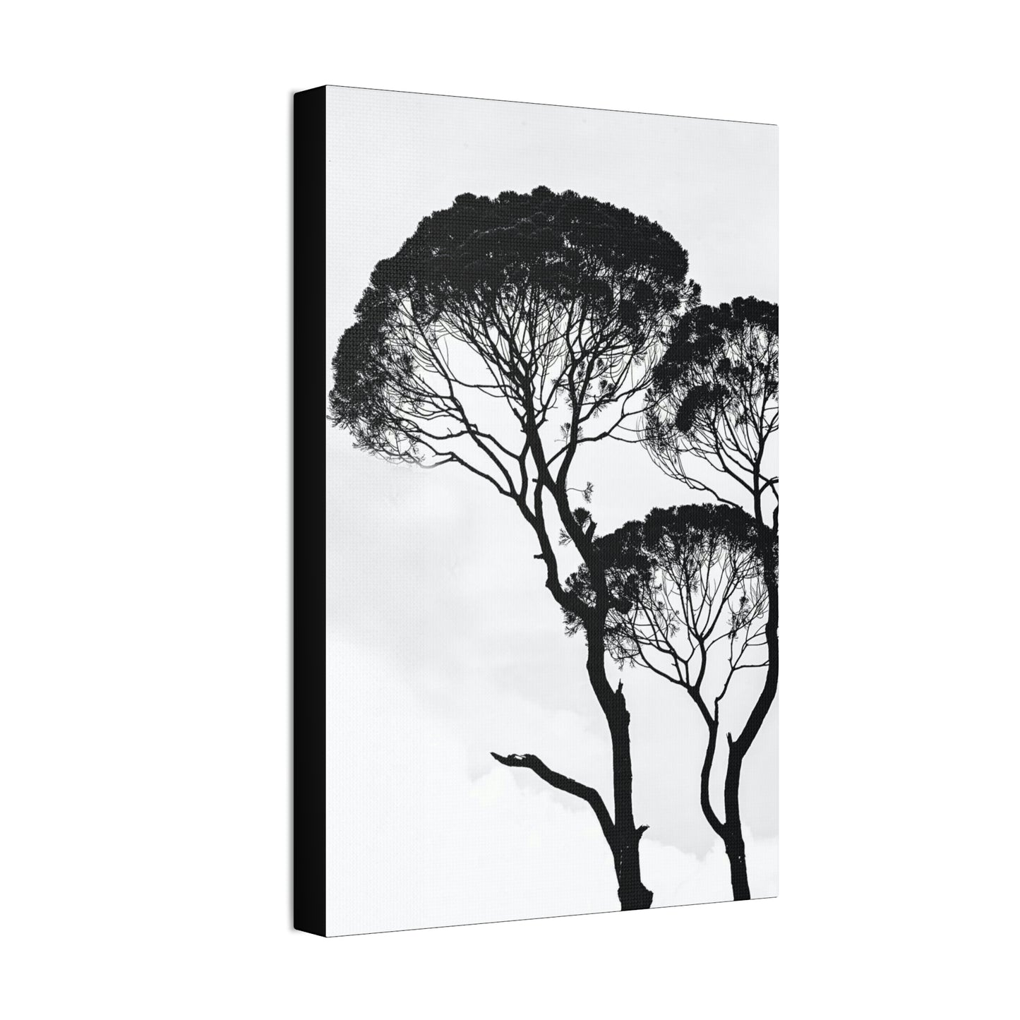 Black and White Trees, Trees, Savannah, Safari - Polyester Canvas