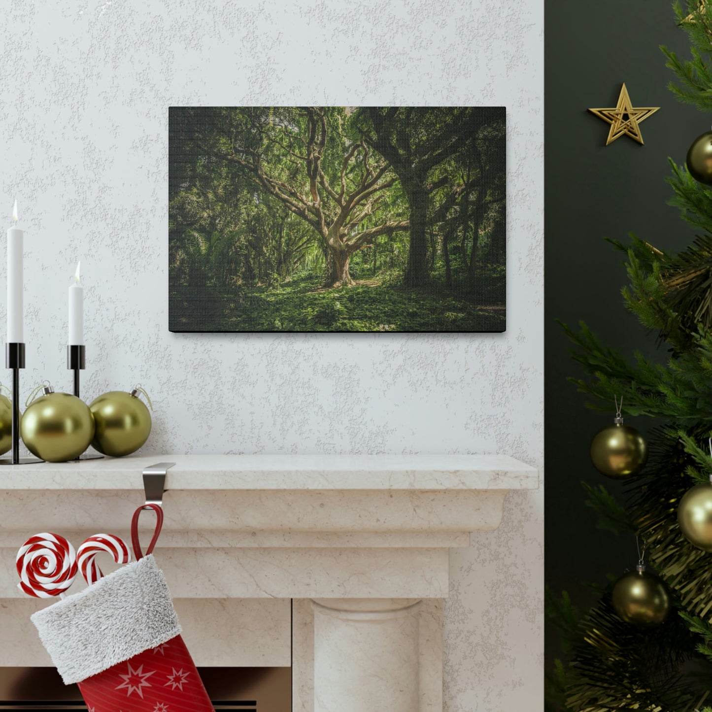 Forest - Tree Canvas Gallery Wraps