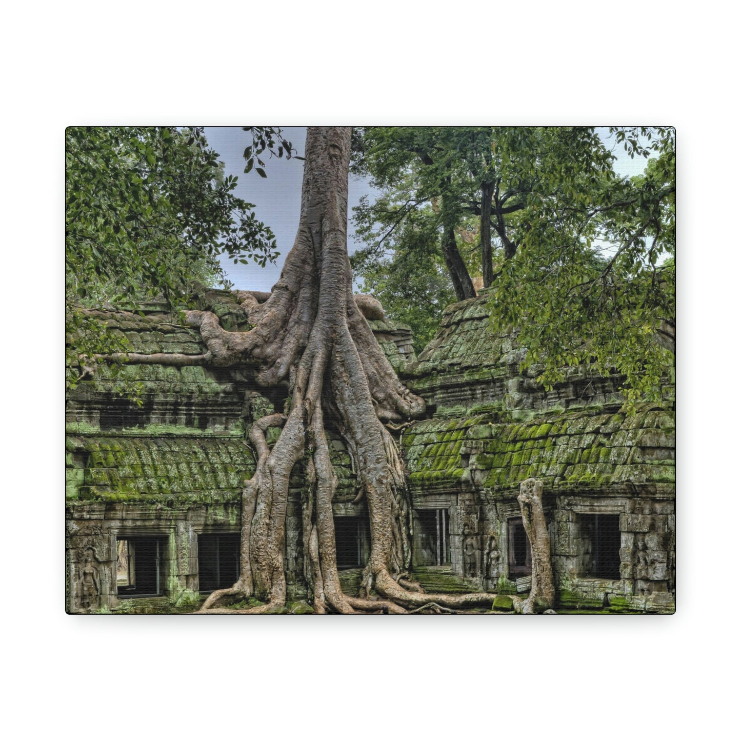 Jungle Temple - nature, trees Canvas Gallery Wraps