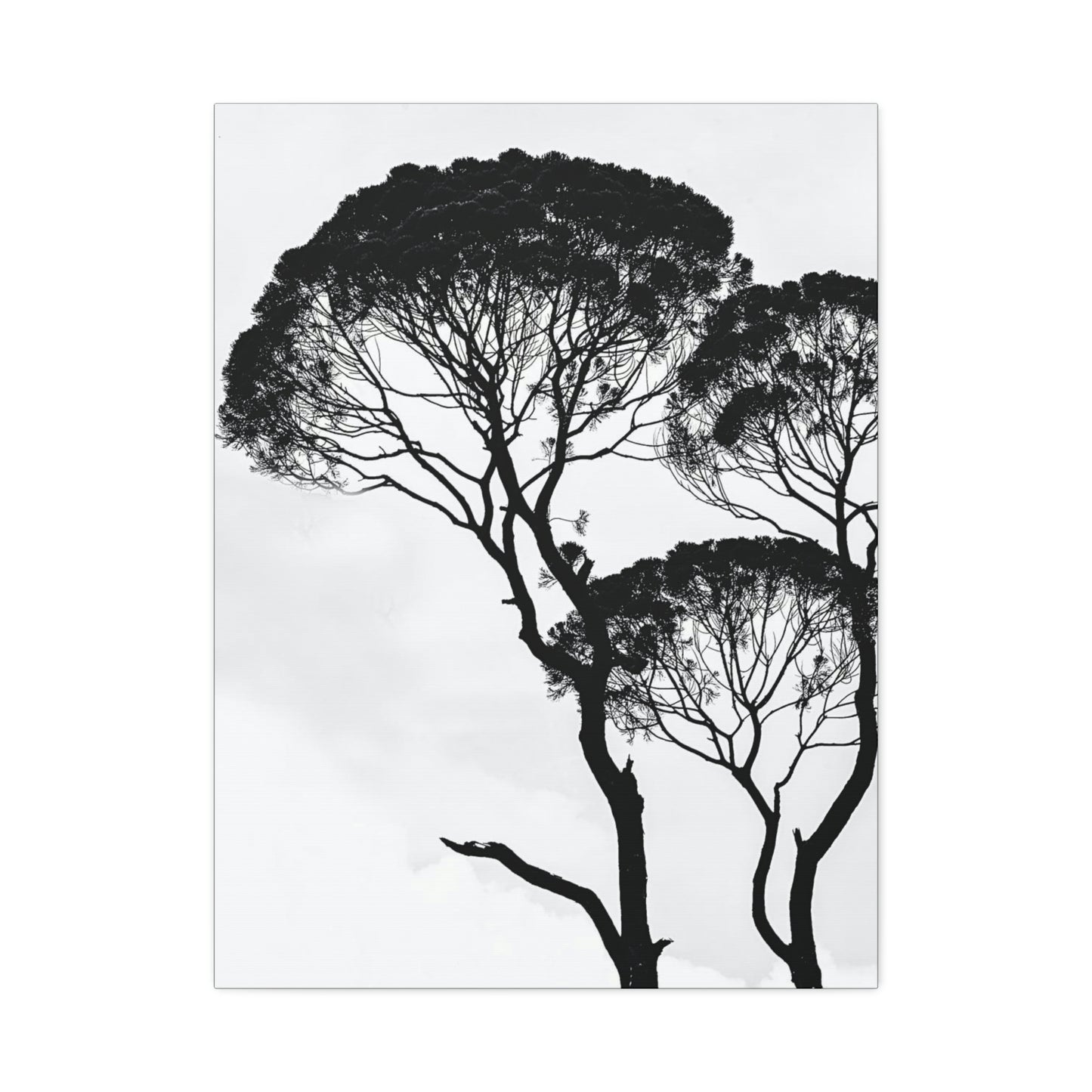 Black and White Trees, Trees, Savannah, Safari - Polyester Canvas