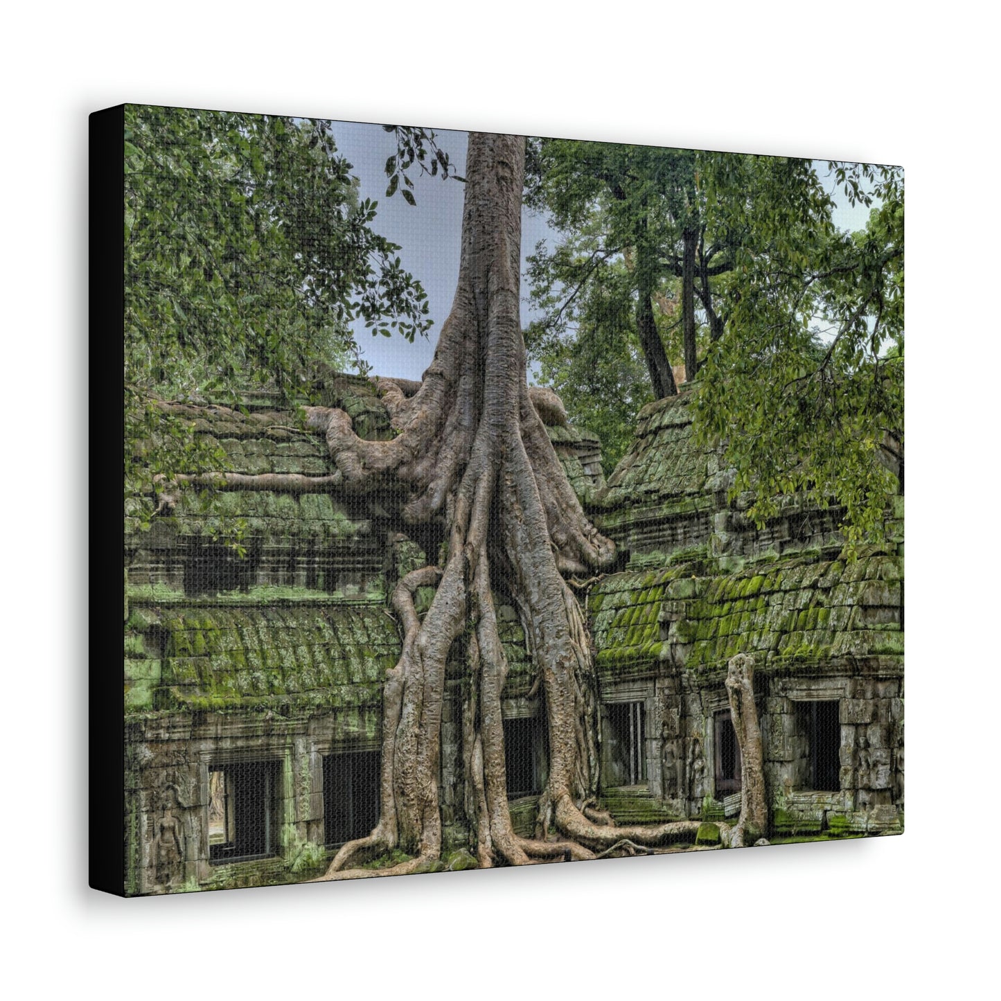 Jungle Temple - nature, trees Canvas Gallery Wraps