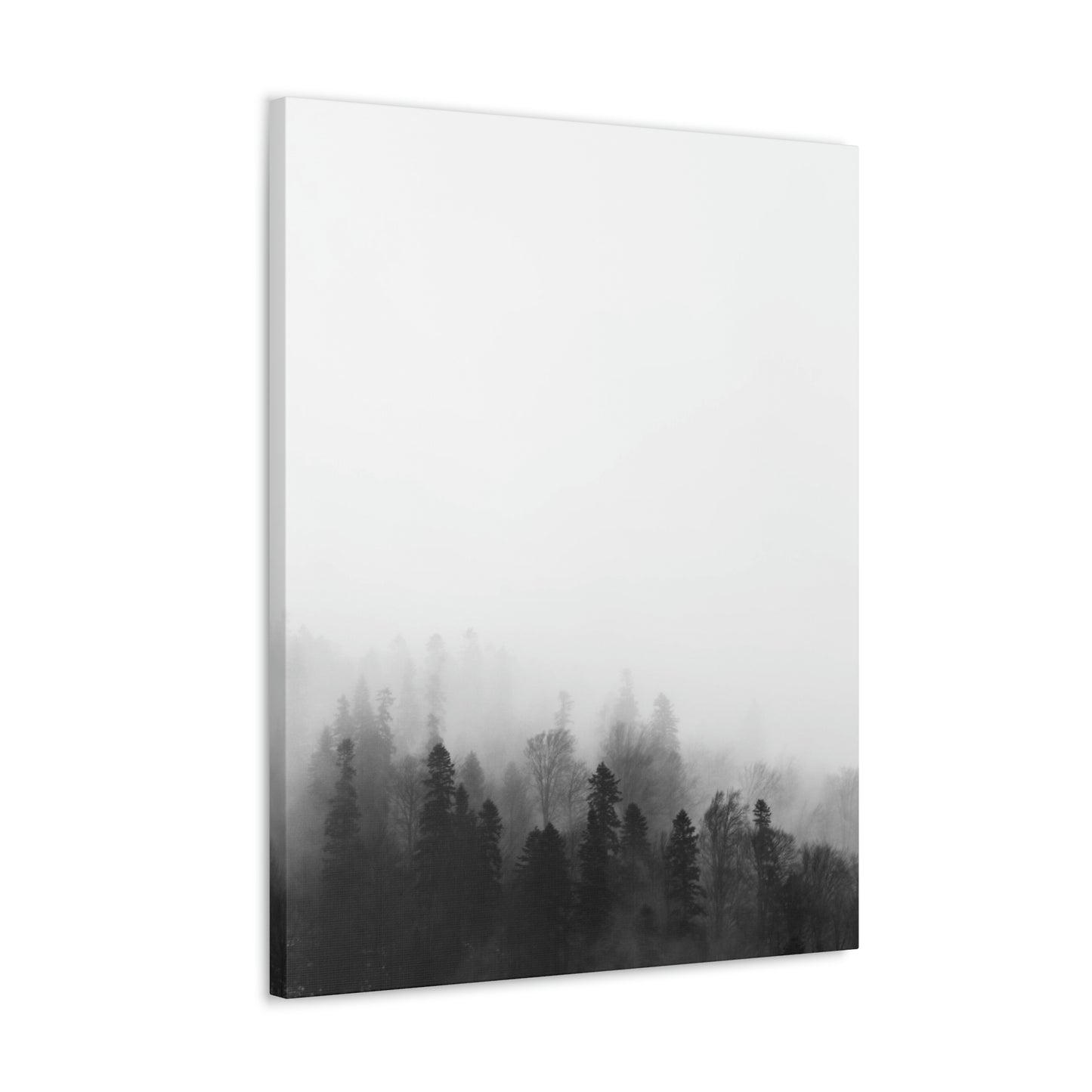 B&W Forest - Canvas Gallery Wraps