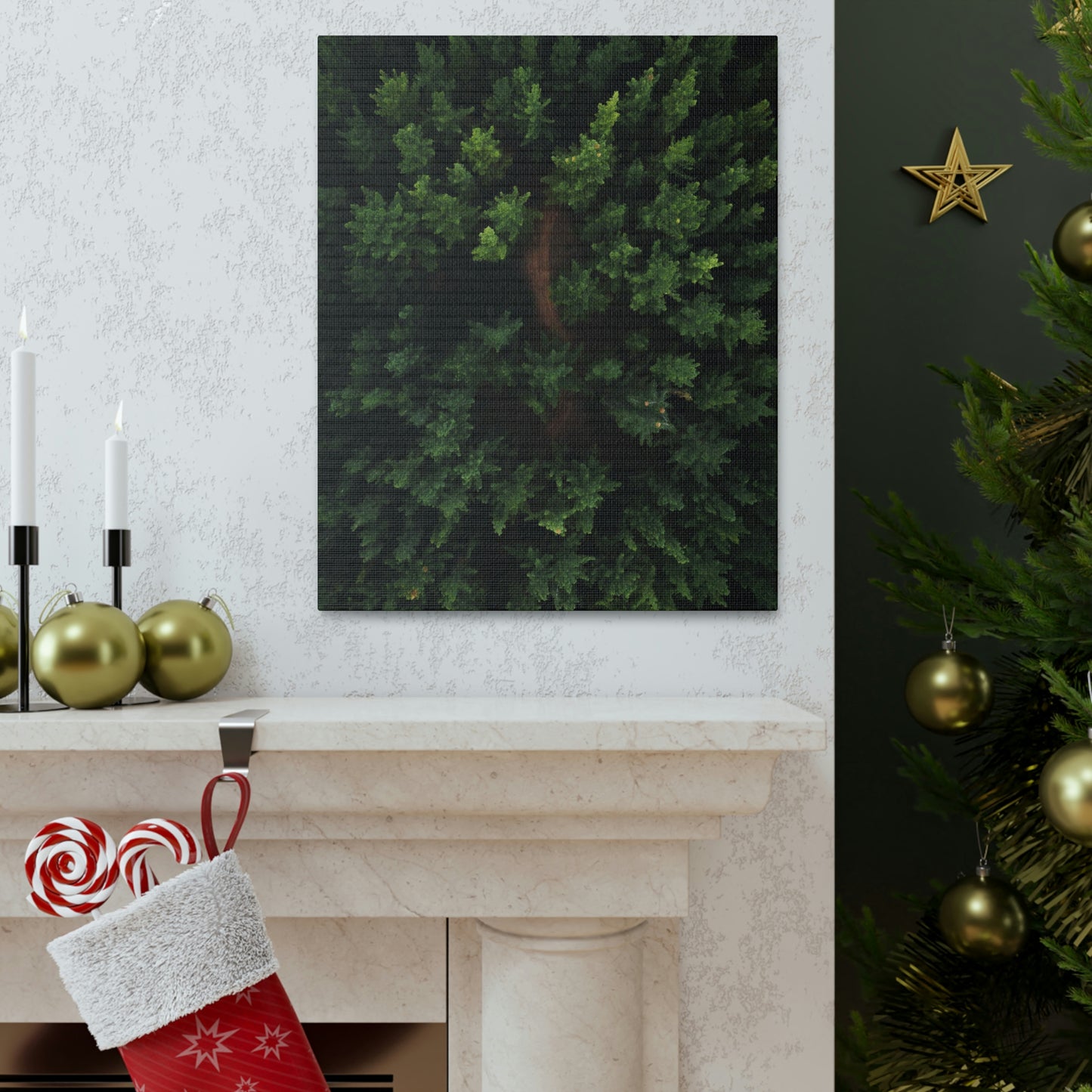 Forest eagle-view - Canvas Gallery Wraps