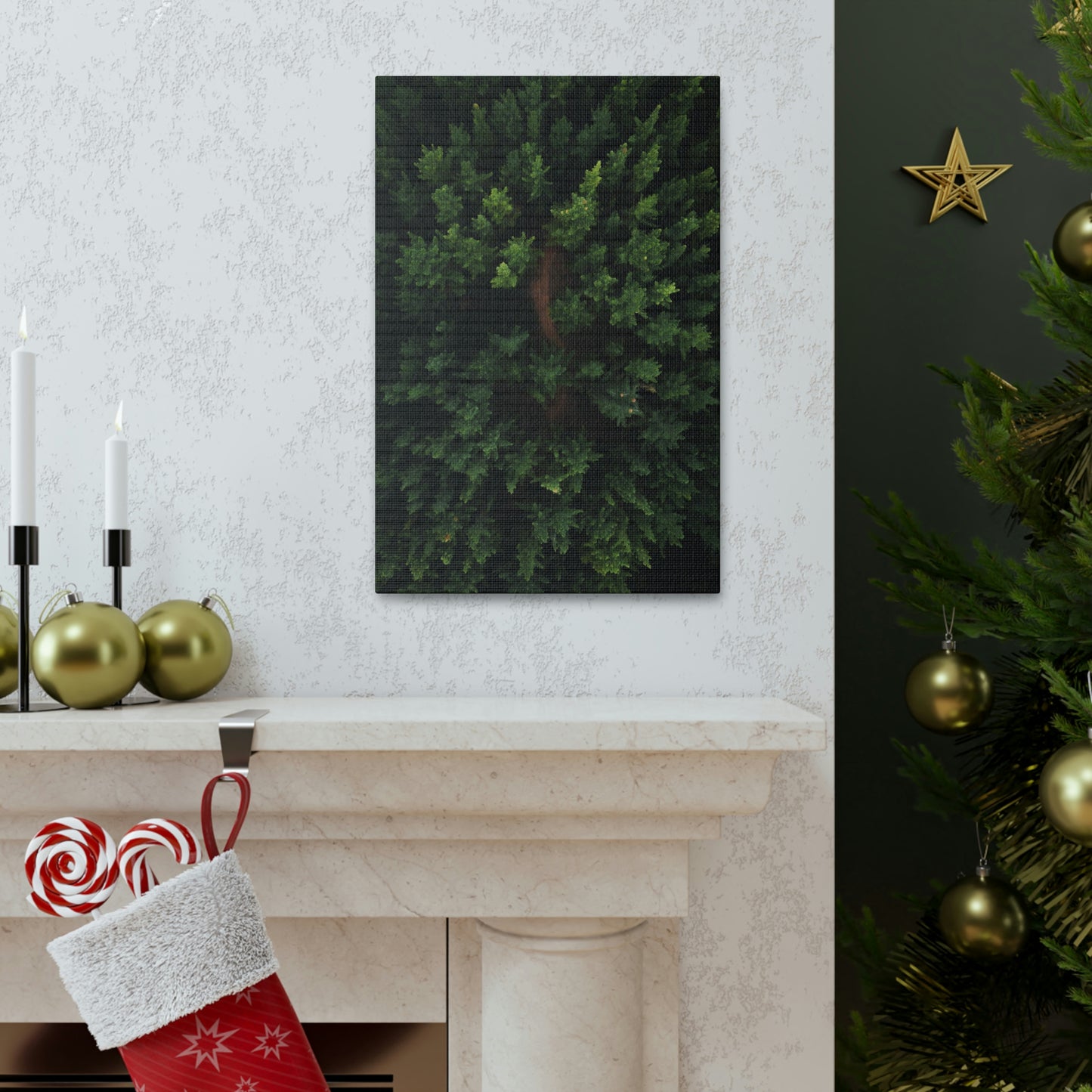 Forest eagle-view - Canvas Gallery Wraps