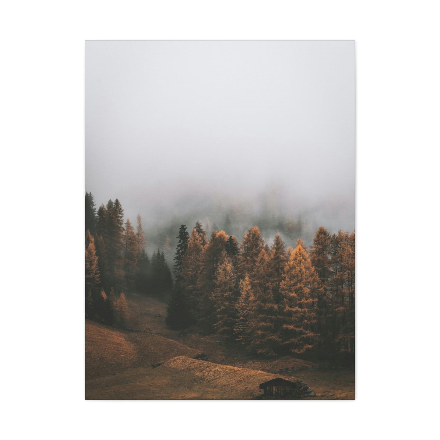 Smokey Mountains, Forest, Fog - Classic Canvas