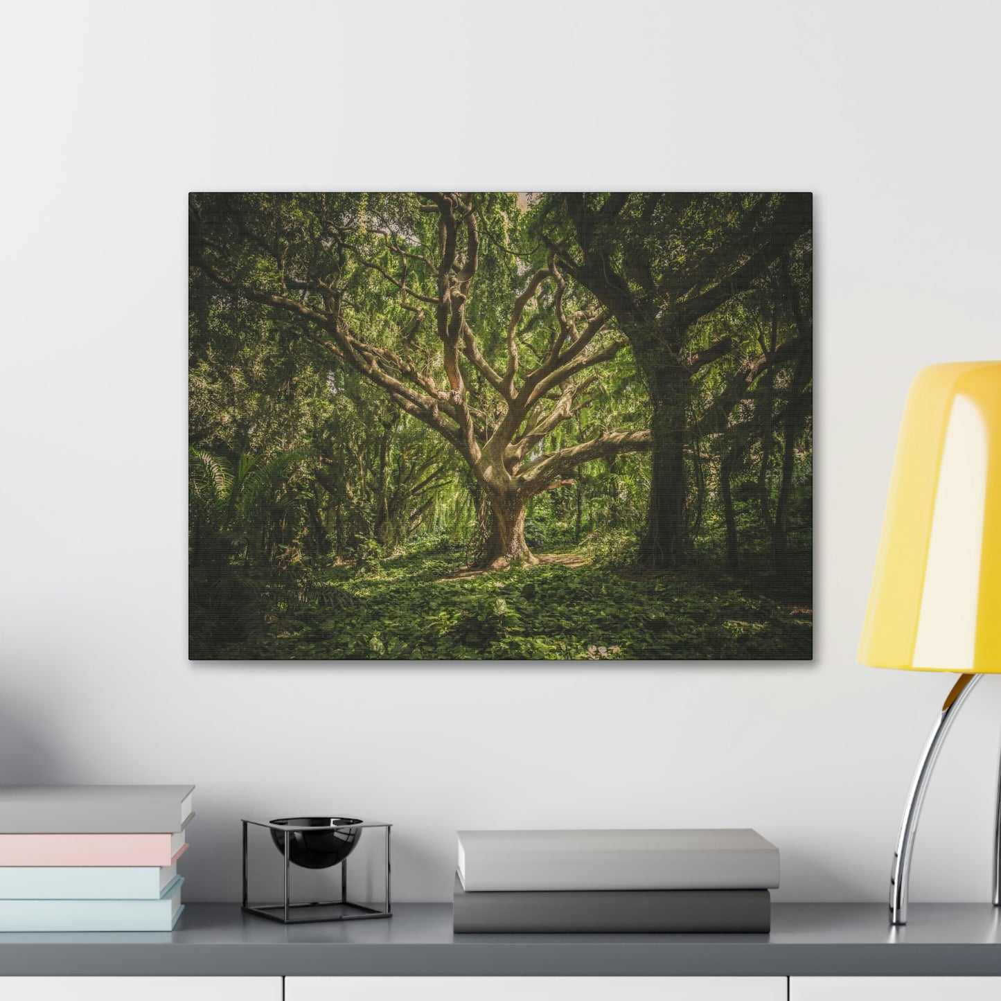 Forest - Tree Canvas Gallery Wraps