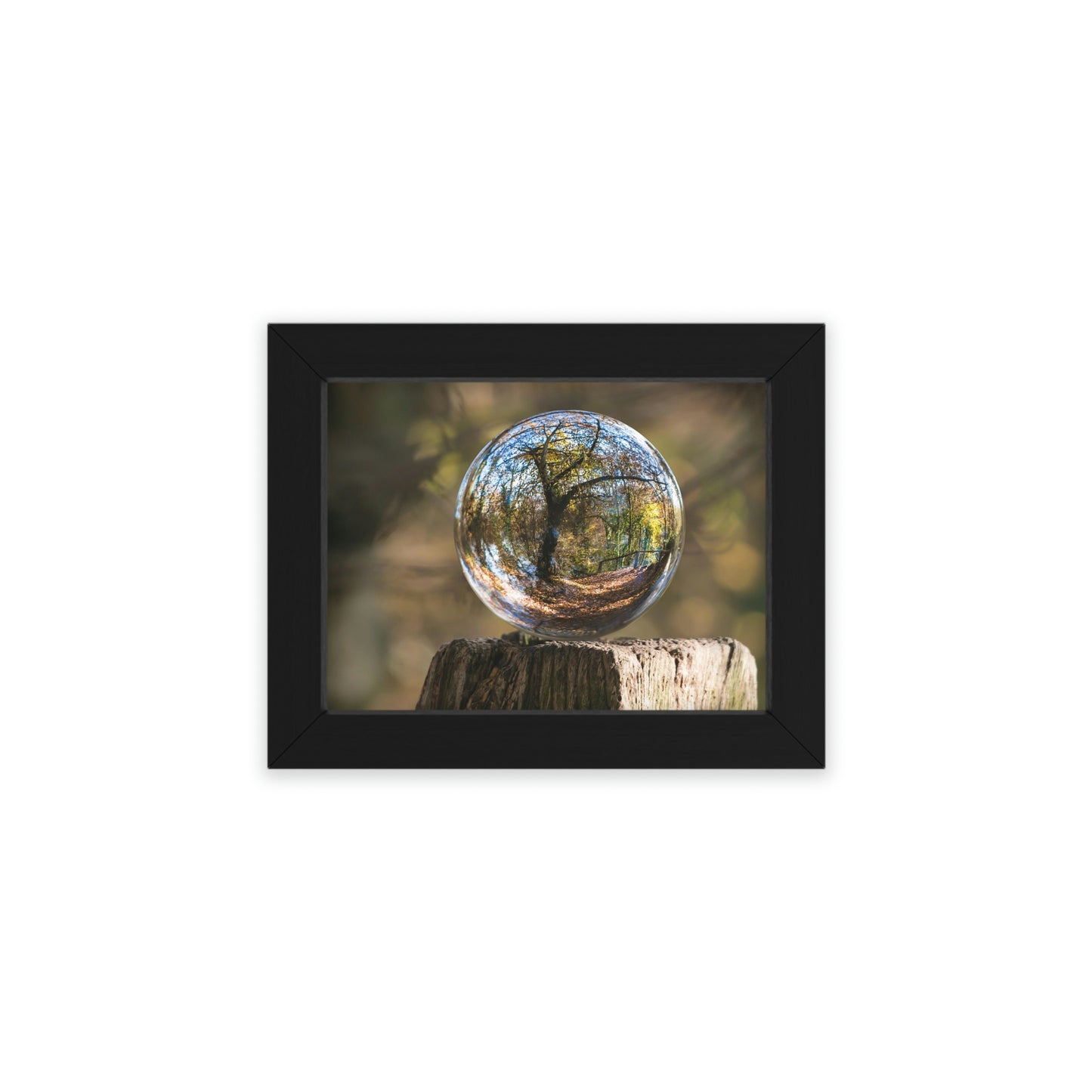 Forest Globe - Framed Poster, Horizontal