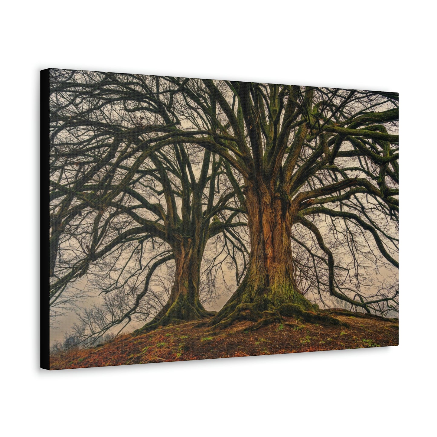 Dark Trees - Nature, Trees, Dark Canvas Gallery Wraps