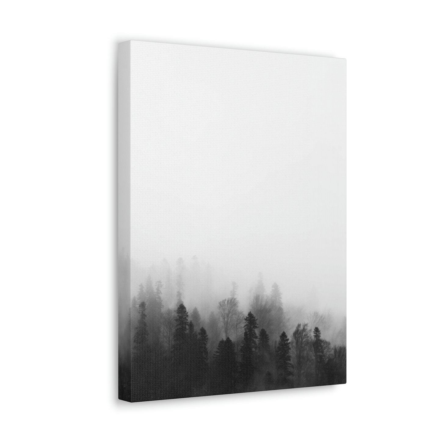 B&W Forest - Canvas Gallery Wraps