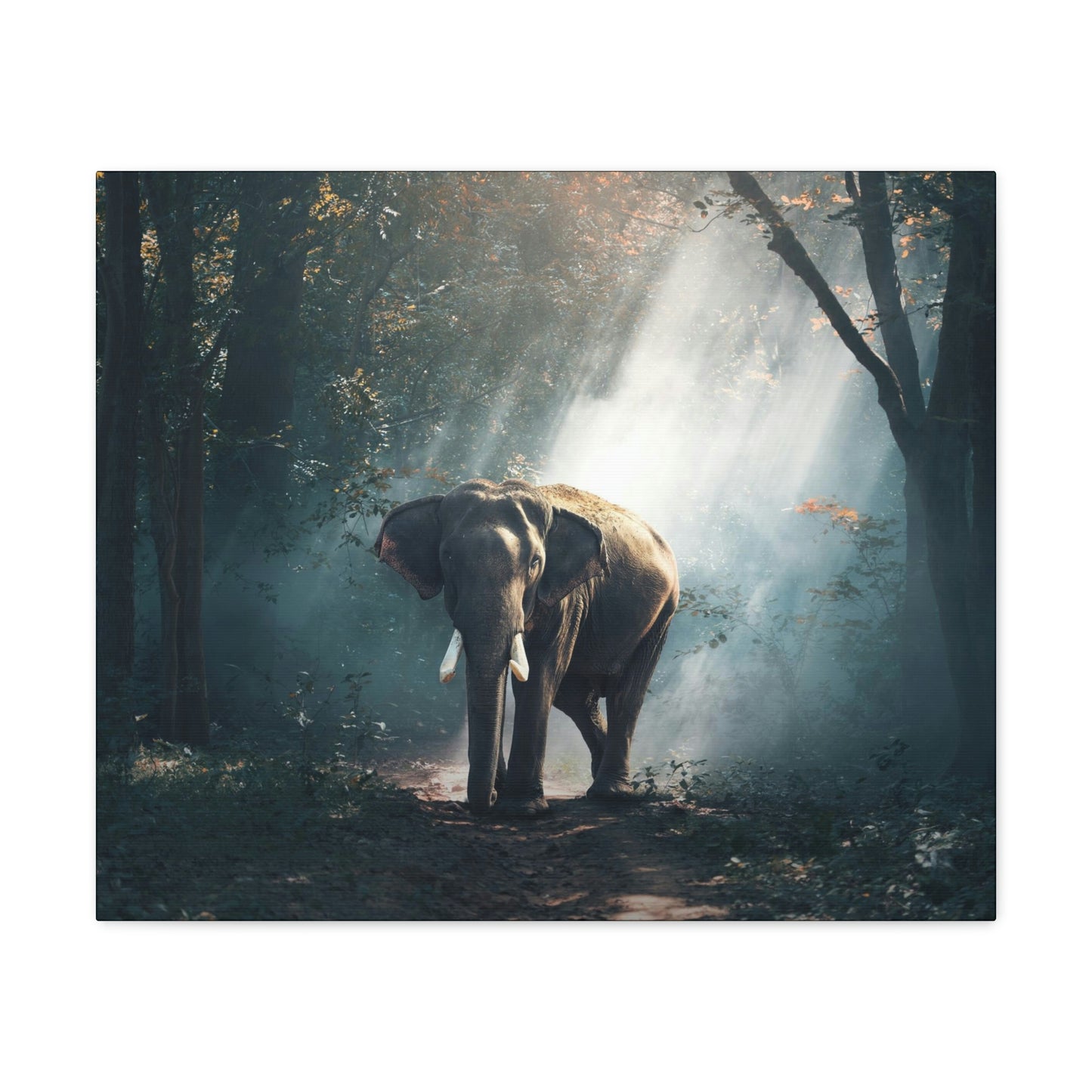 Elephant - Nature, Jungle Canvas Gallery Wraps