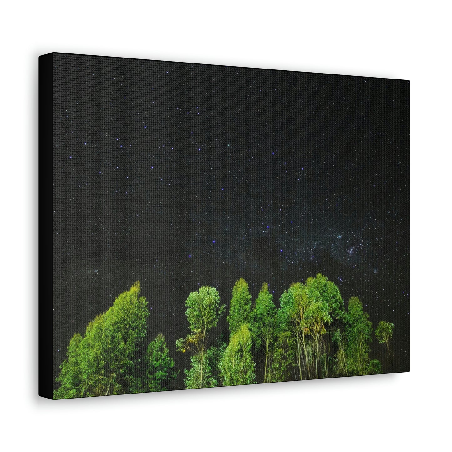 Starry Forest - Star, Forest, Nature - Canvas Gallery Wraps