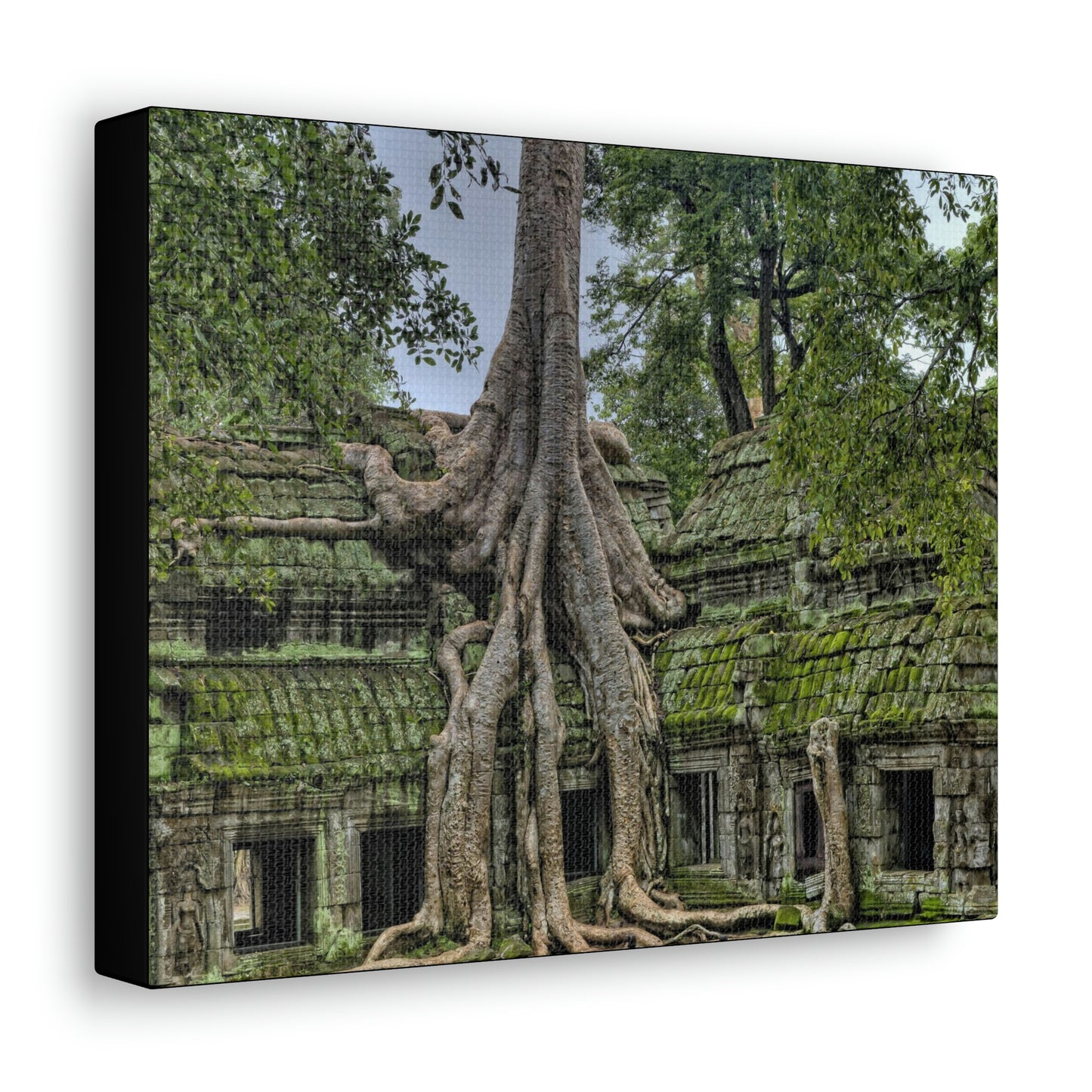 Jungle Temple - nature, trees Canvas Gallery Wraps