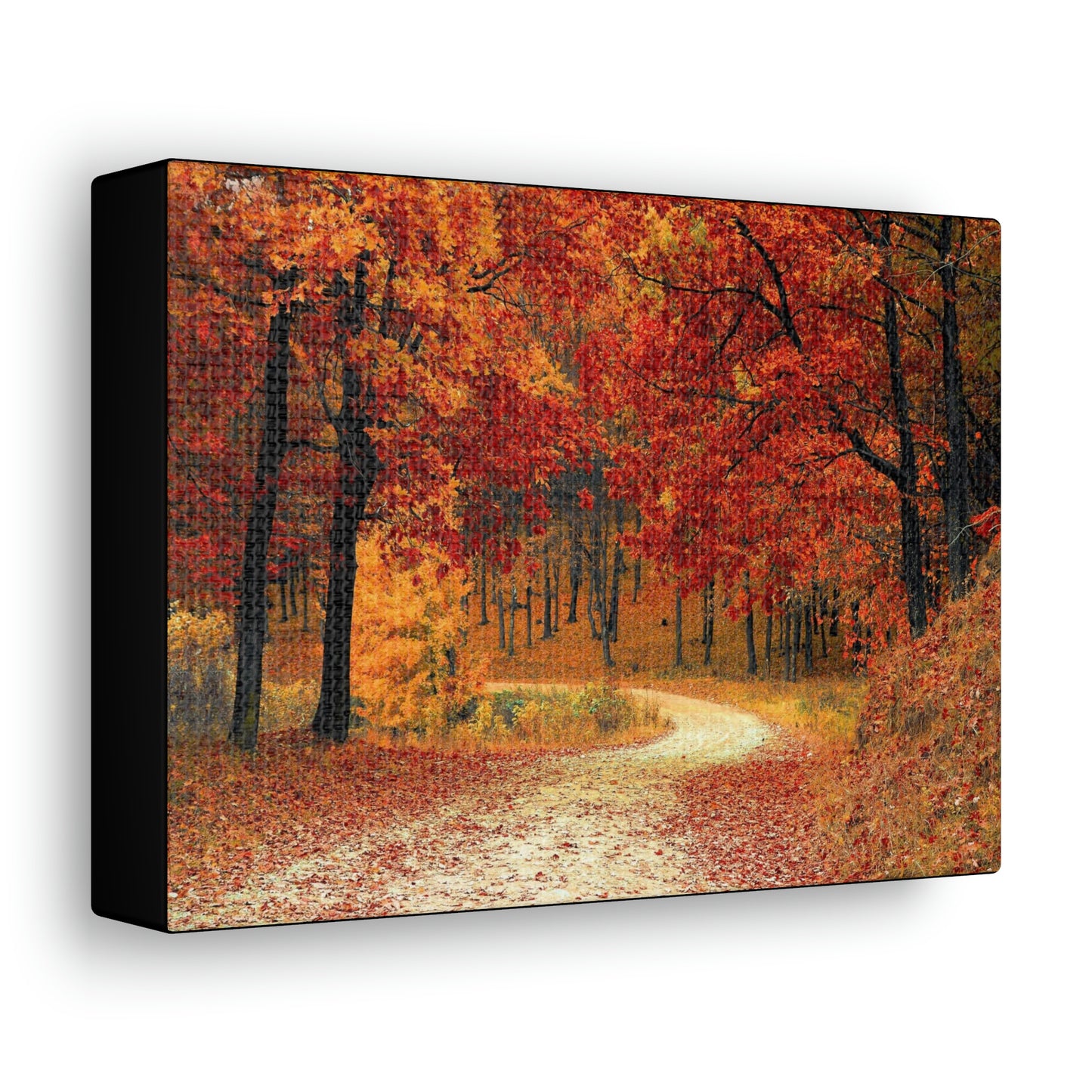 Fall Trail - Foliage forest - Canvas Gallery Wraps
