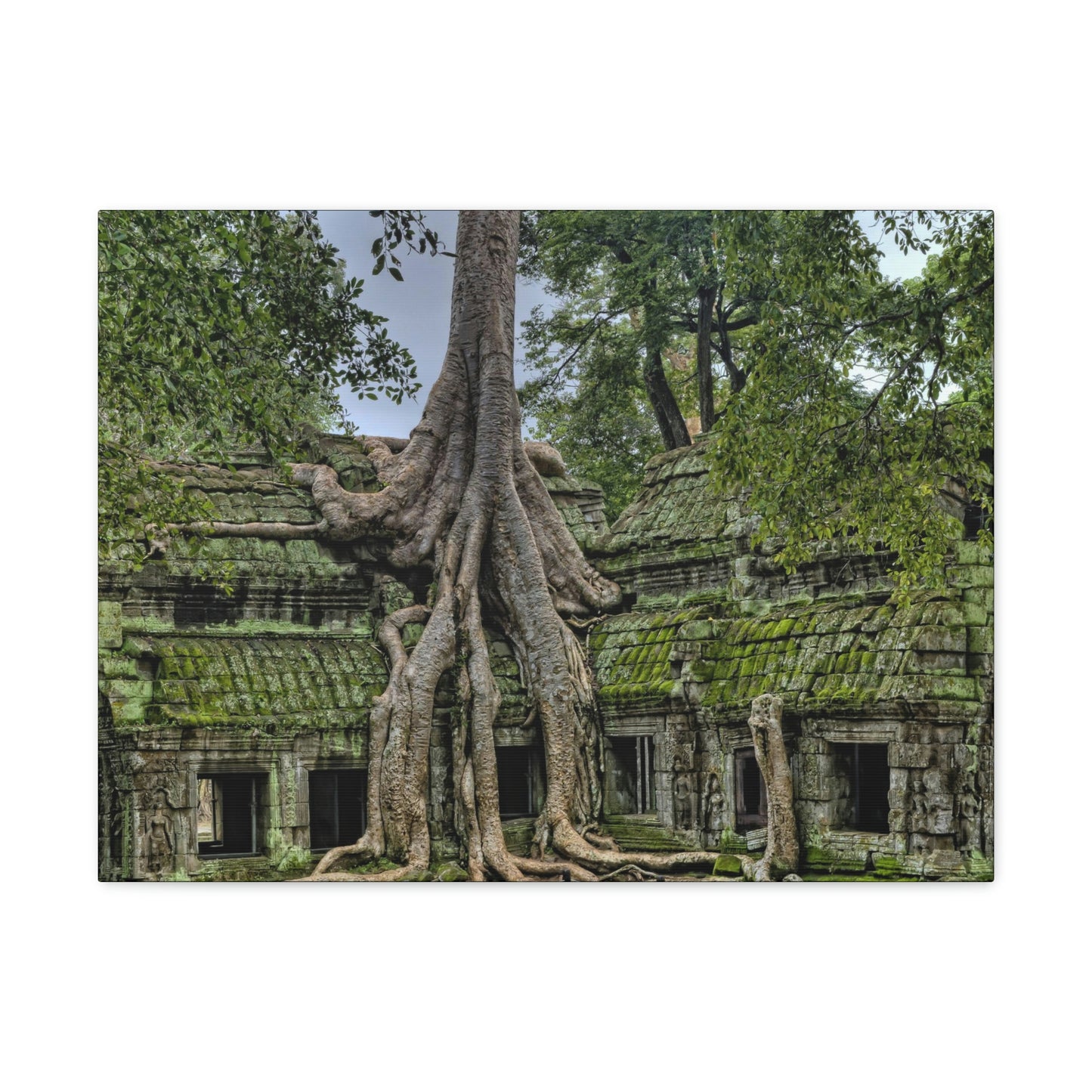 Jungle Temple - nature, trees Canvas Gallery Wraps
