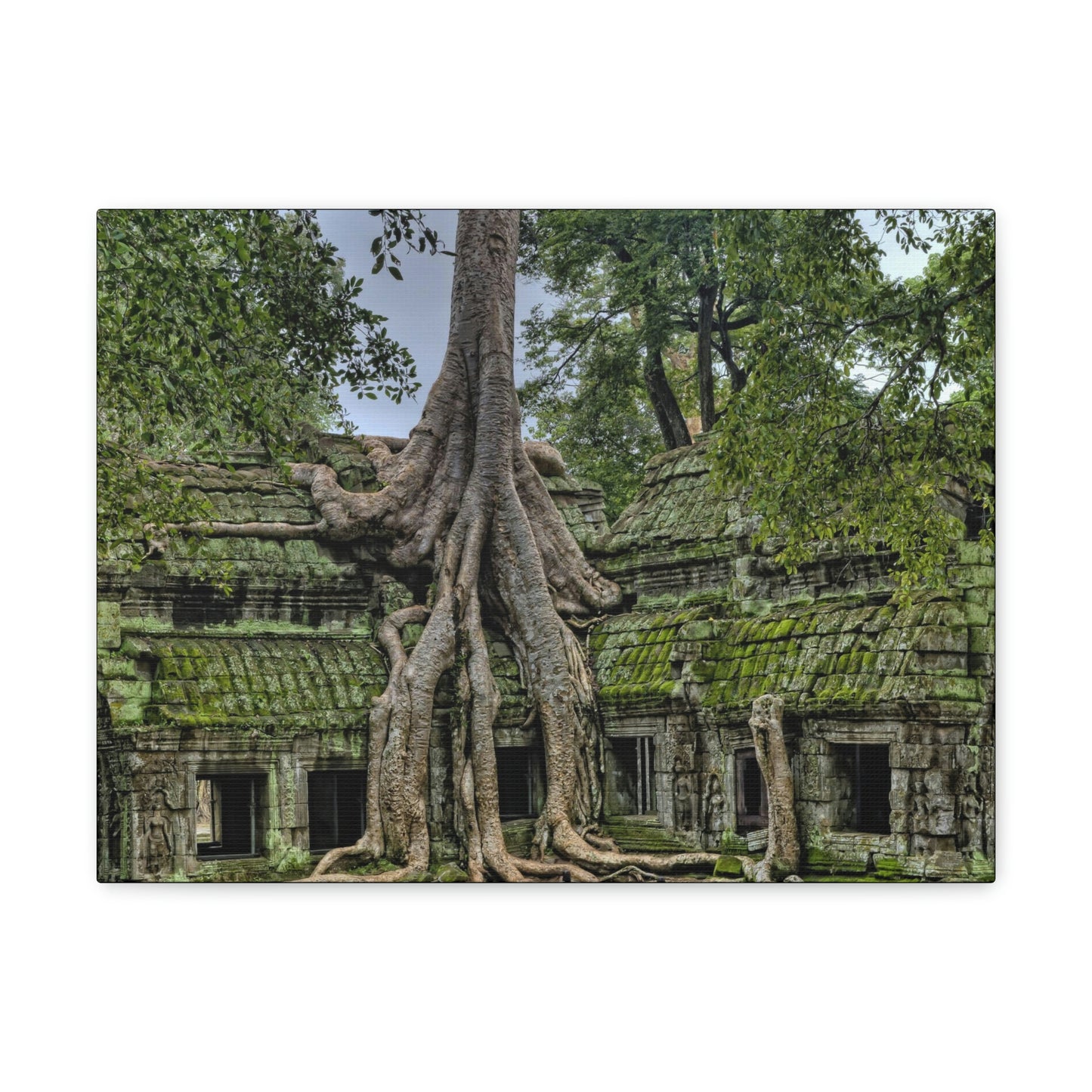 Jungle Temple - nature, trees Canvas Gallery Wraps