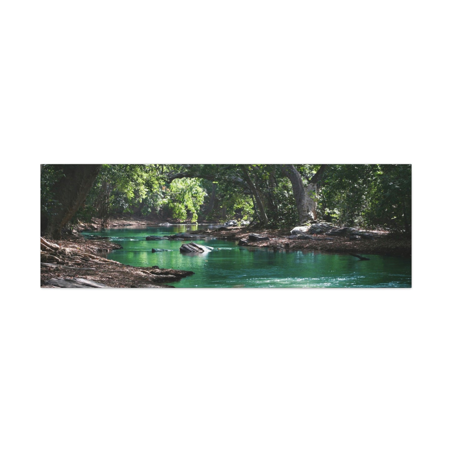 Scenic River - Forest - Canvas Gallery Wraps