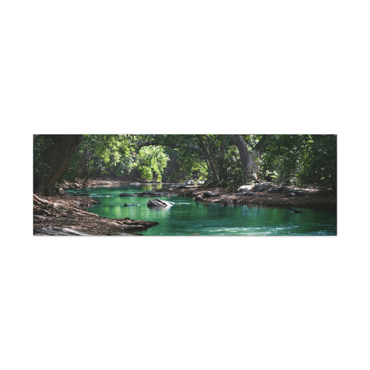 Scenic River - Forest - Canvas Gallery Wraps