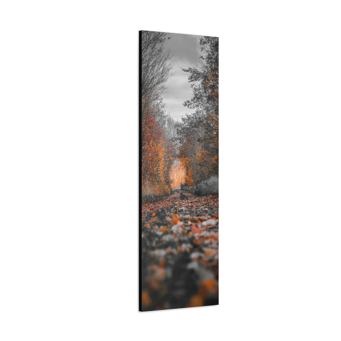 Fall road - Foliage, Nature, Forest, Leaves - Canvas Gallery Wraps