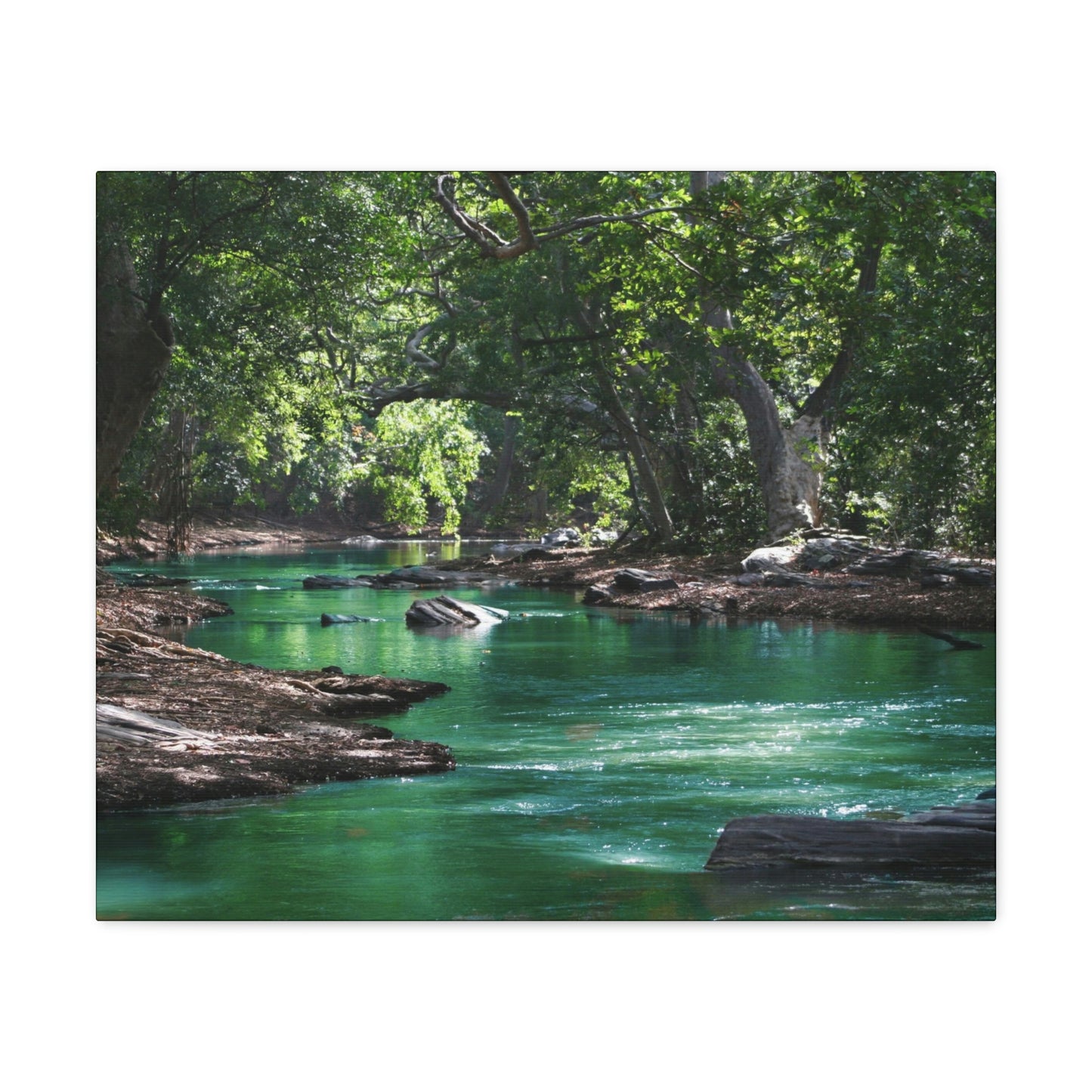 Scenic River - Forest - Canvas Gallery Wraps