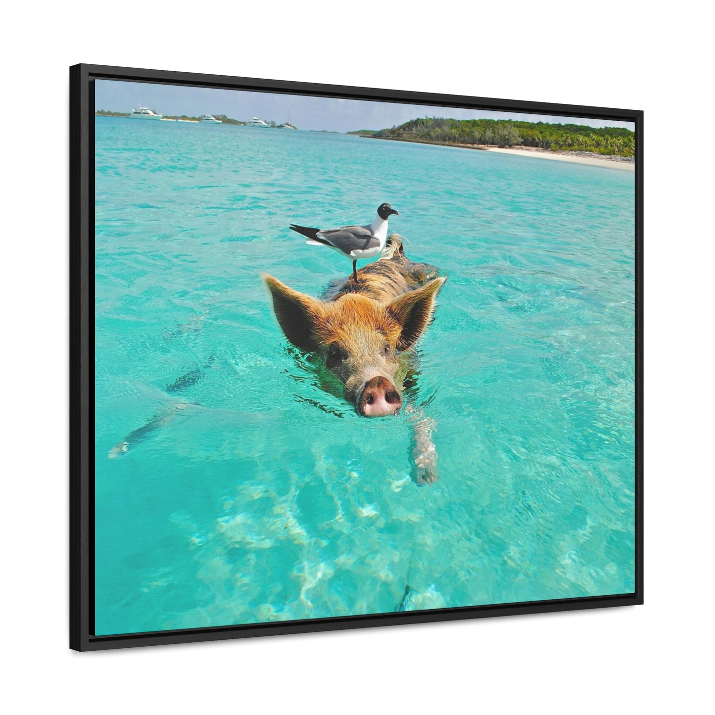Ocean hog - Gallery Canvas Wraps, Horizontal Frame