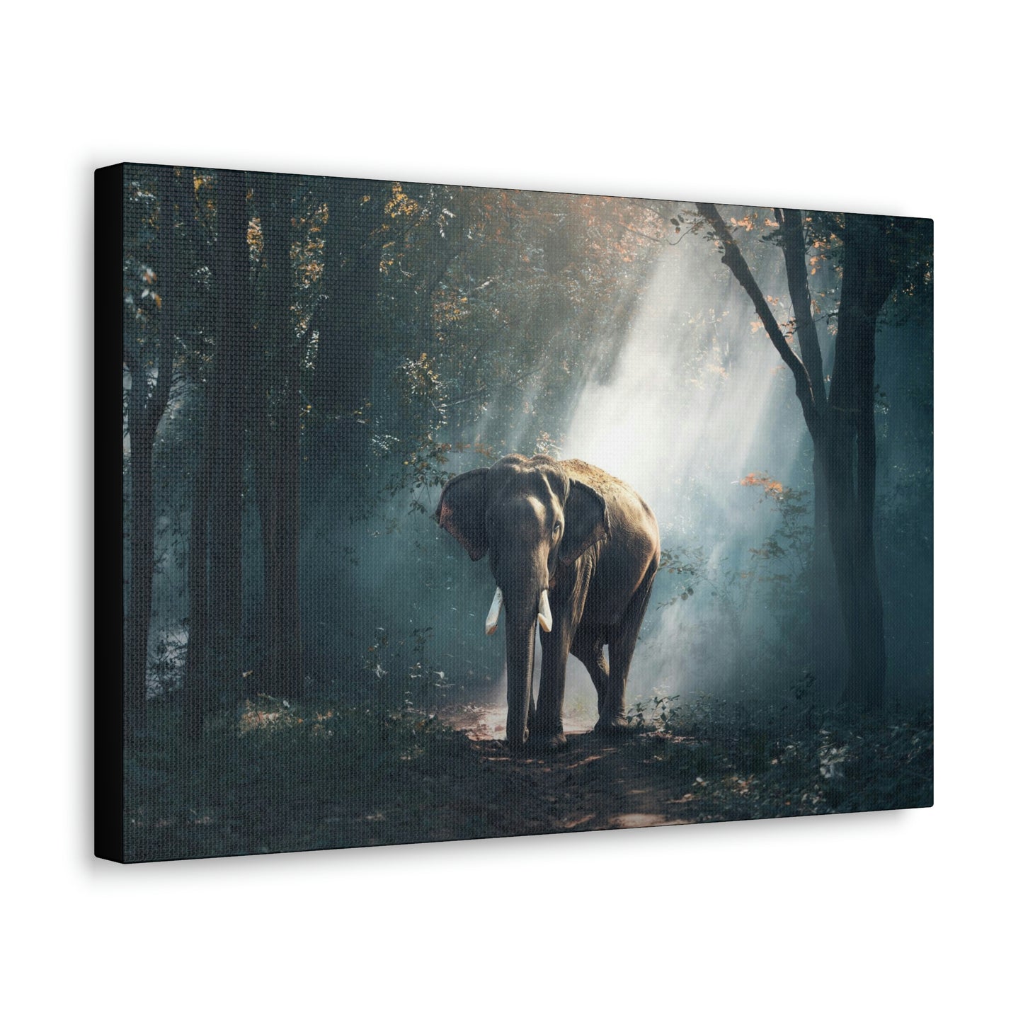 Elephant - Nature, Jungle Canvas Gallery Wraps