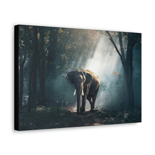 Elephant - Nature, Jungle Canvas Gallery Wraps