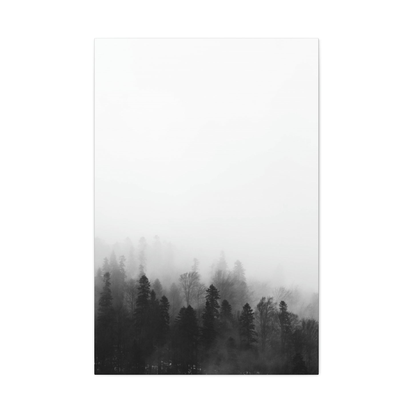 Forest, Black & White, Tree line, Nature, Fog, B and W Tree line Polyester Canvas