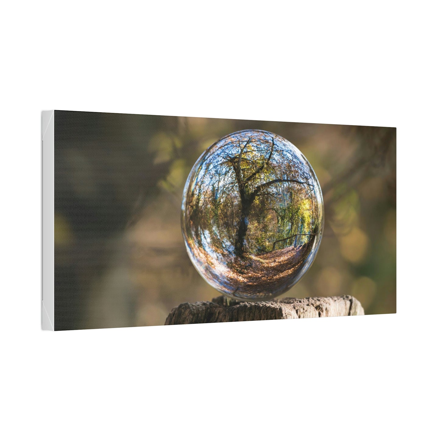 Forest, Globe, Trees, Nature, Forest Globe - Polyester Canvas