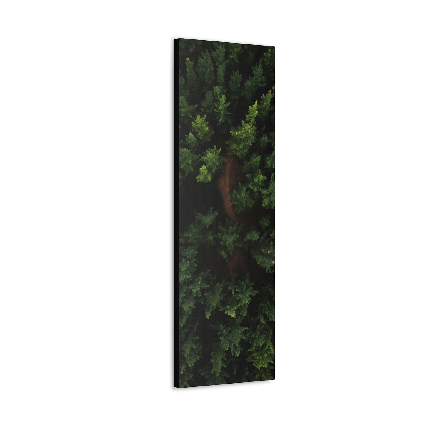 Forest eagle-view - Canvas Gallery Wraps
