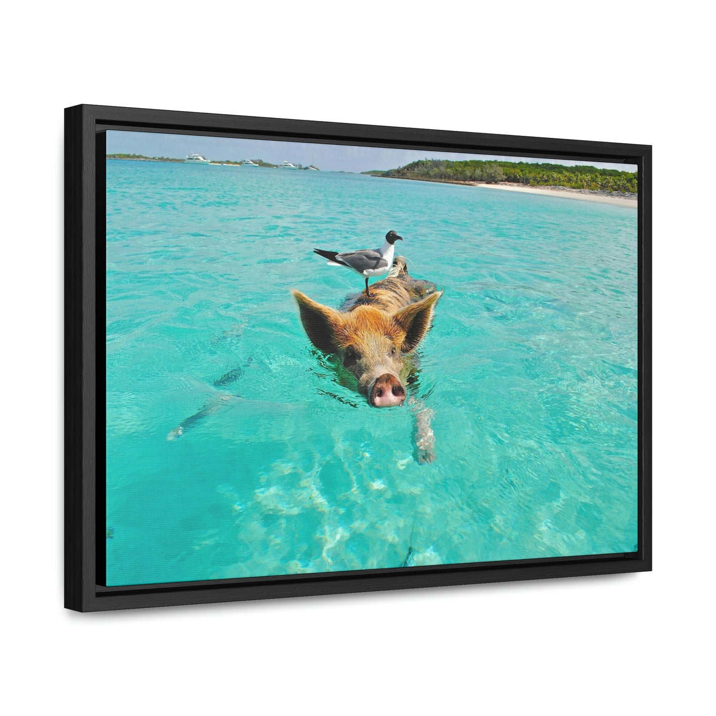 Ocean hog - Gallery Canvas Wraps, Horizontal Frame