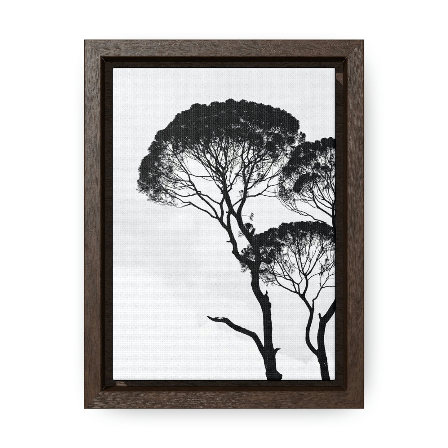 Black and White Tree photo, Black and White, Forest, Nature, Trees - Gallery Canvas Wraps, Vertical Frame