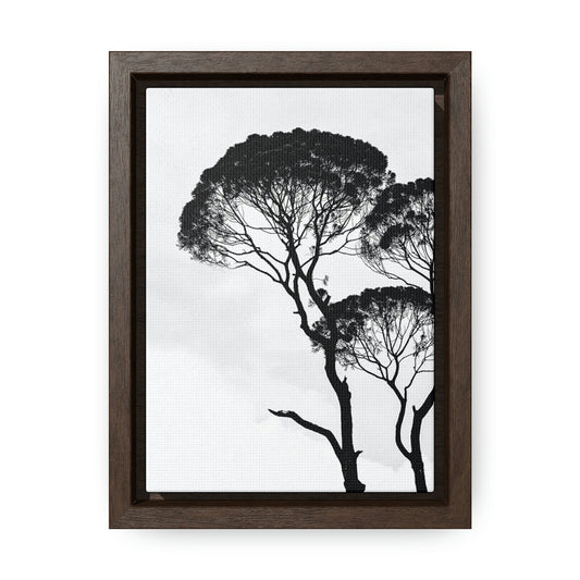 Black and White Tree photo, Black and White, Forest, Nature, Trees - Gallery Canvas Wraps, Vertical Frame