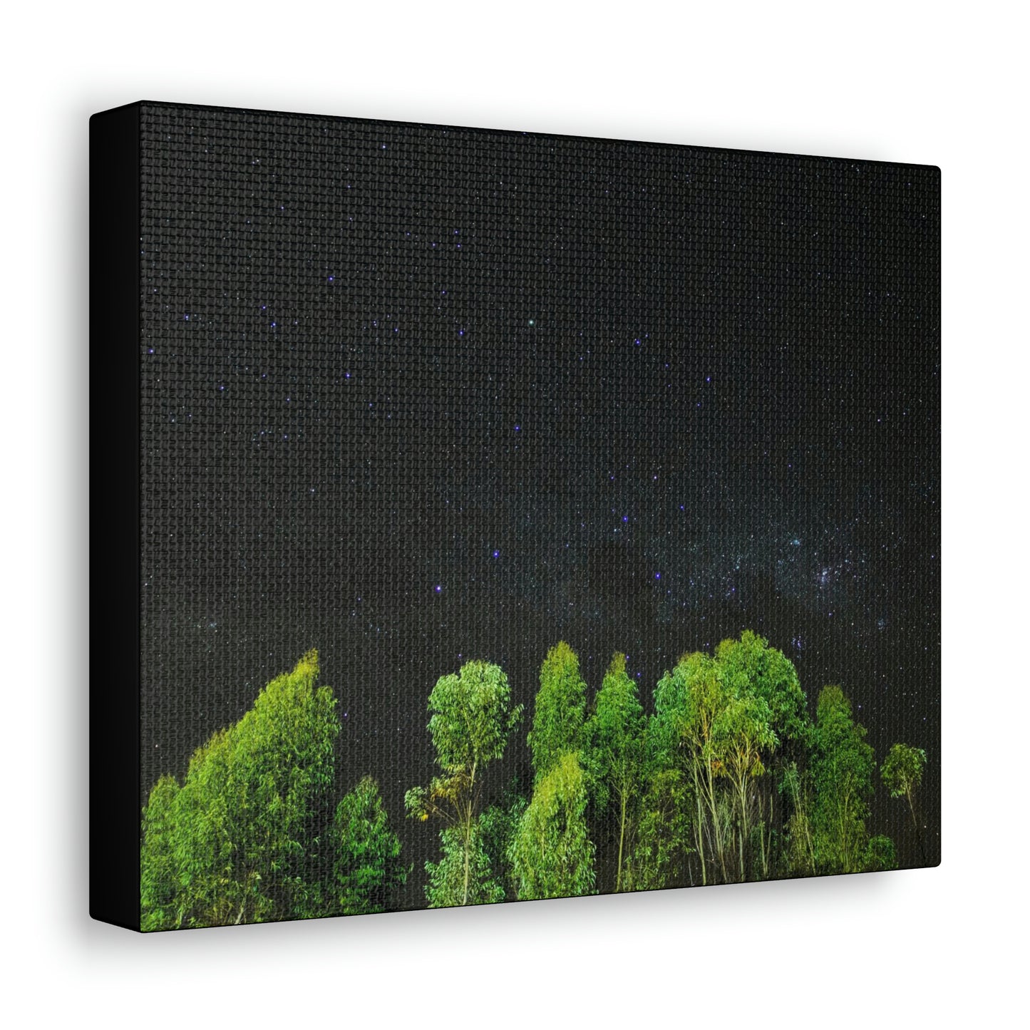 Starry Forest - Star, Forest, Nature - Canvas Gallery Wraps