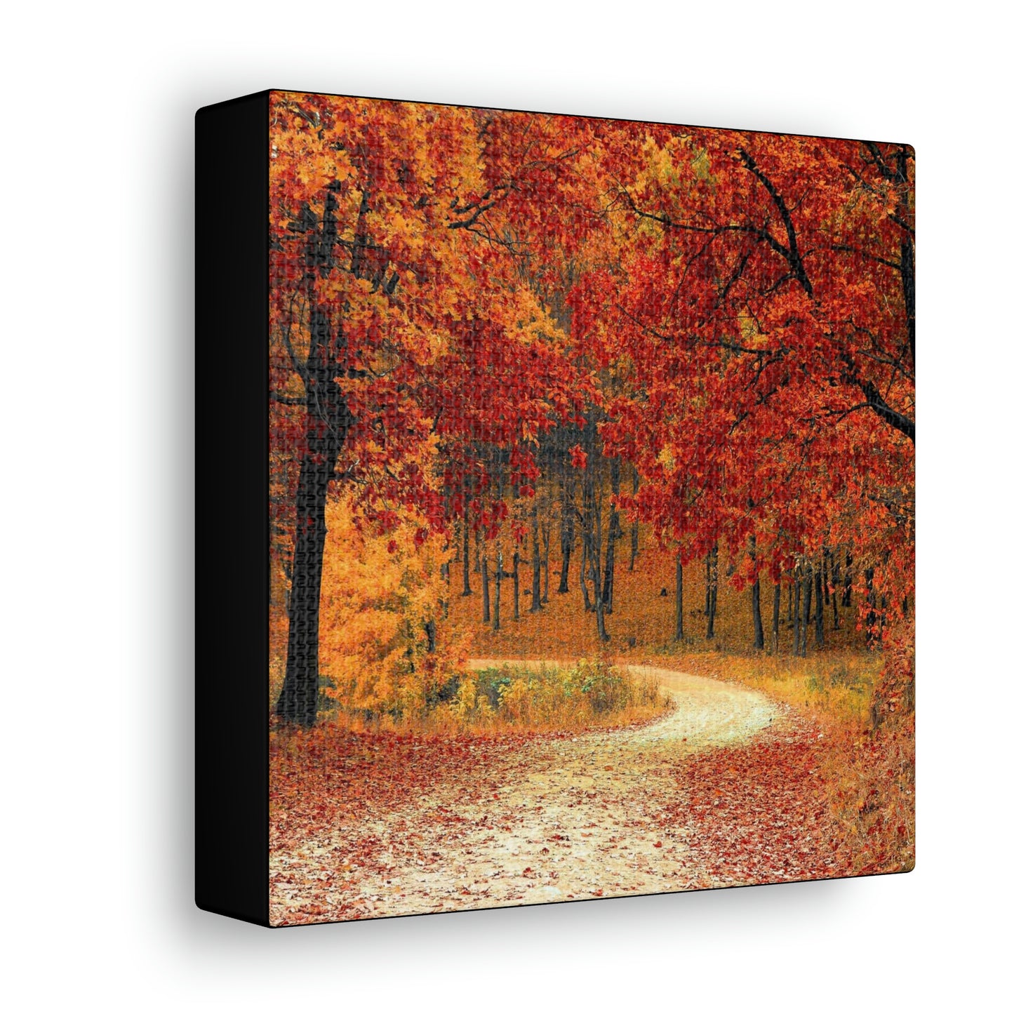 Fall Trail - Foliage forest - Canvas Gallery Wraps