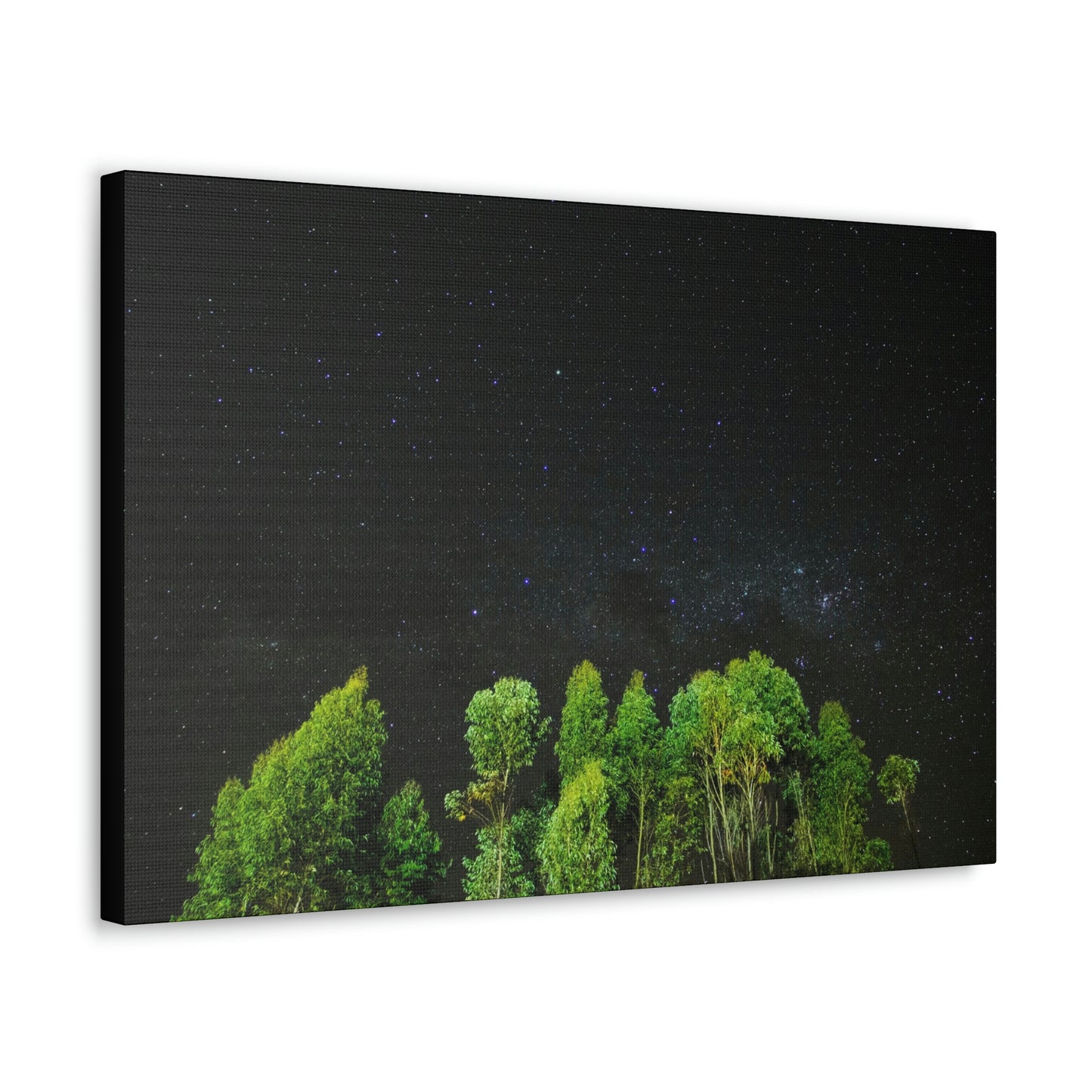 Starry Forest - Star, Forest, Nature - Canvas Gallery Wraps
