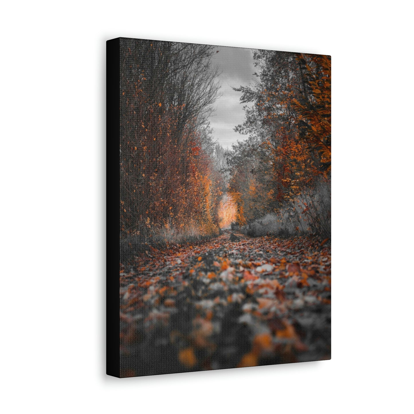 Fall road - Foliage, Nature, Forest, Leaves - Canvas Gallery Wraps