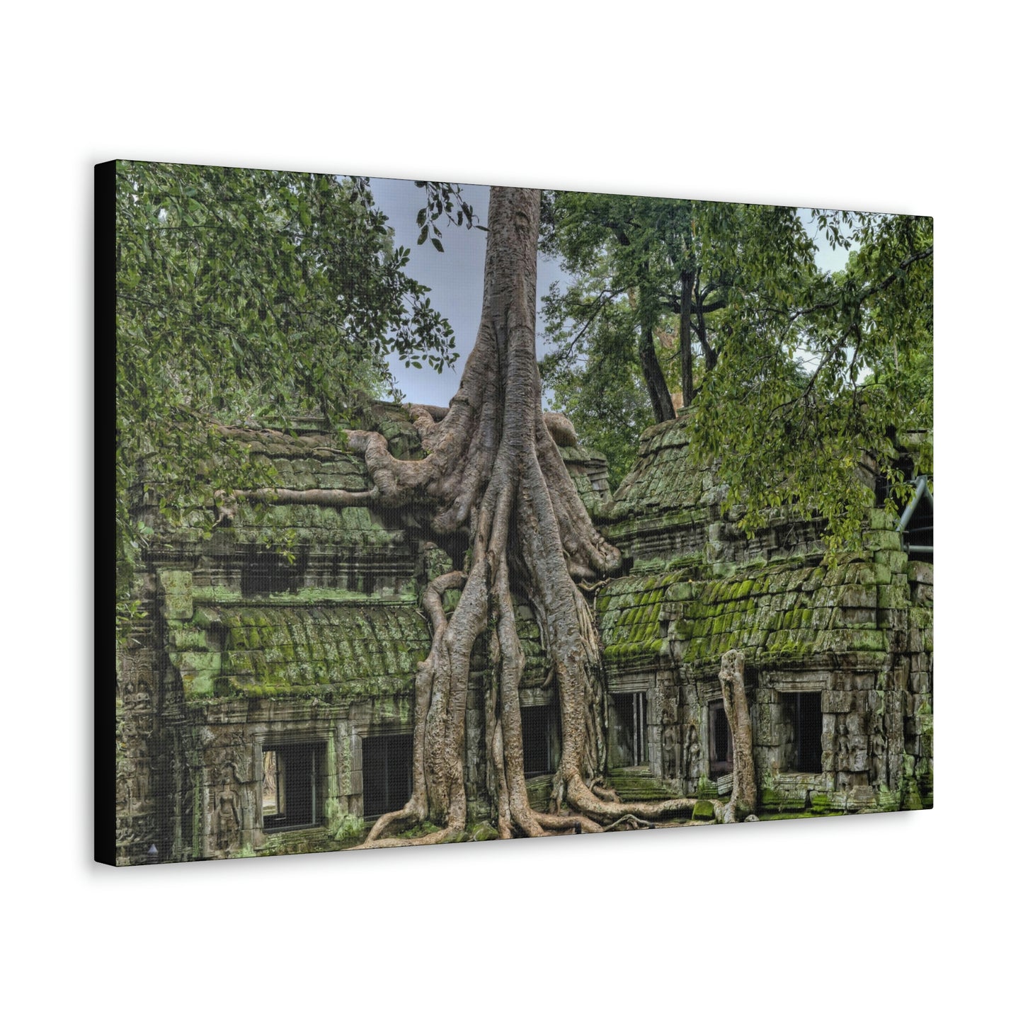 Jungle Temple - nature, trees Canvas Gallery Wraps