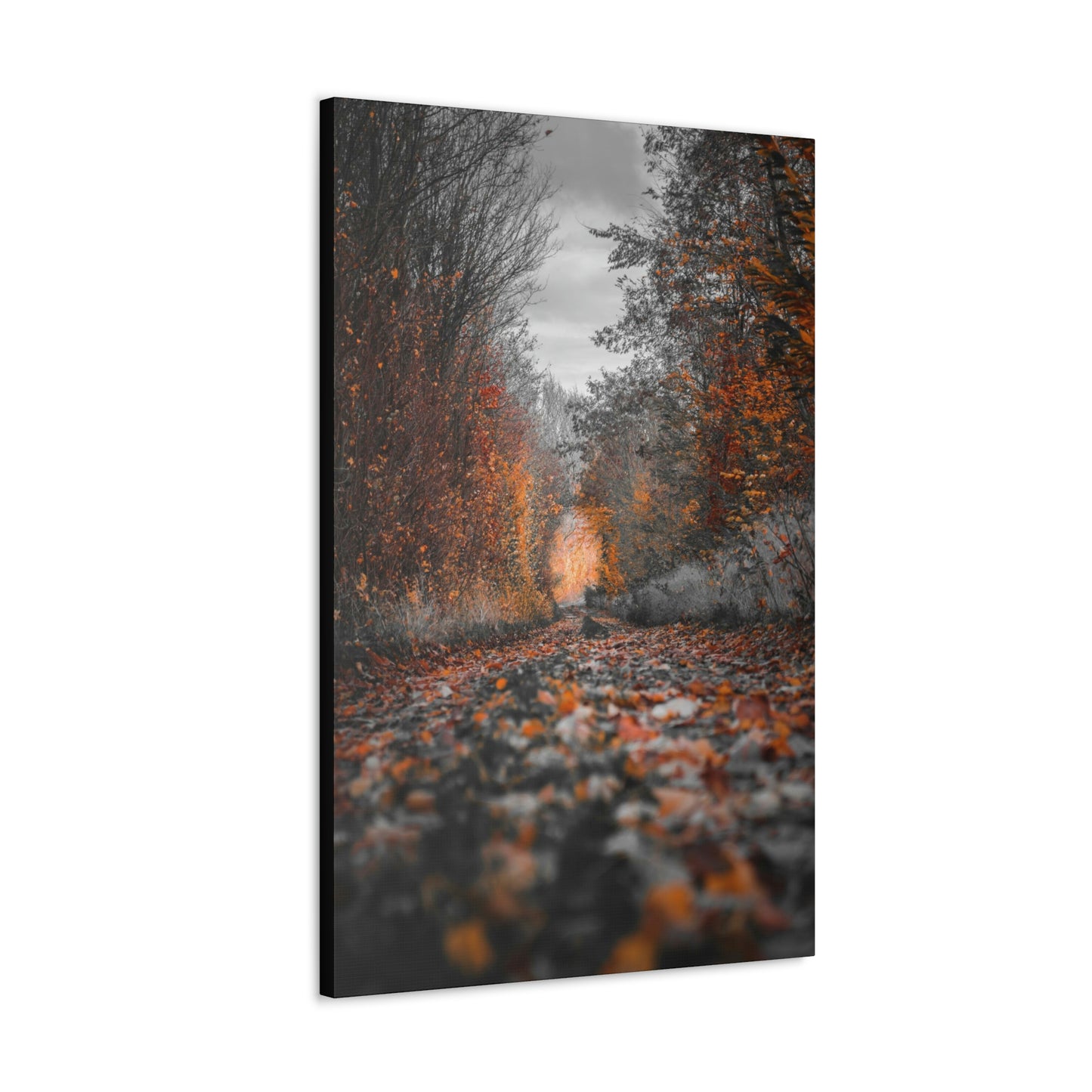 Fall road - Foliage, Nature, Forest, Leaves - Canvas Gallery Wraps