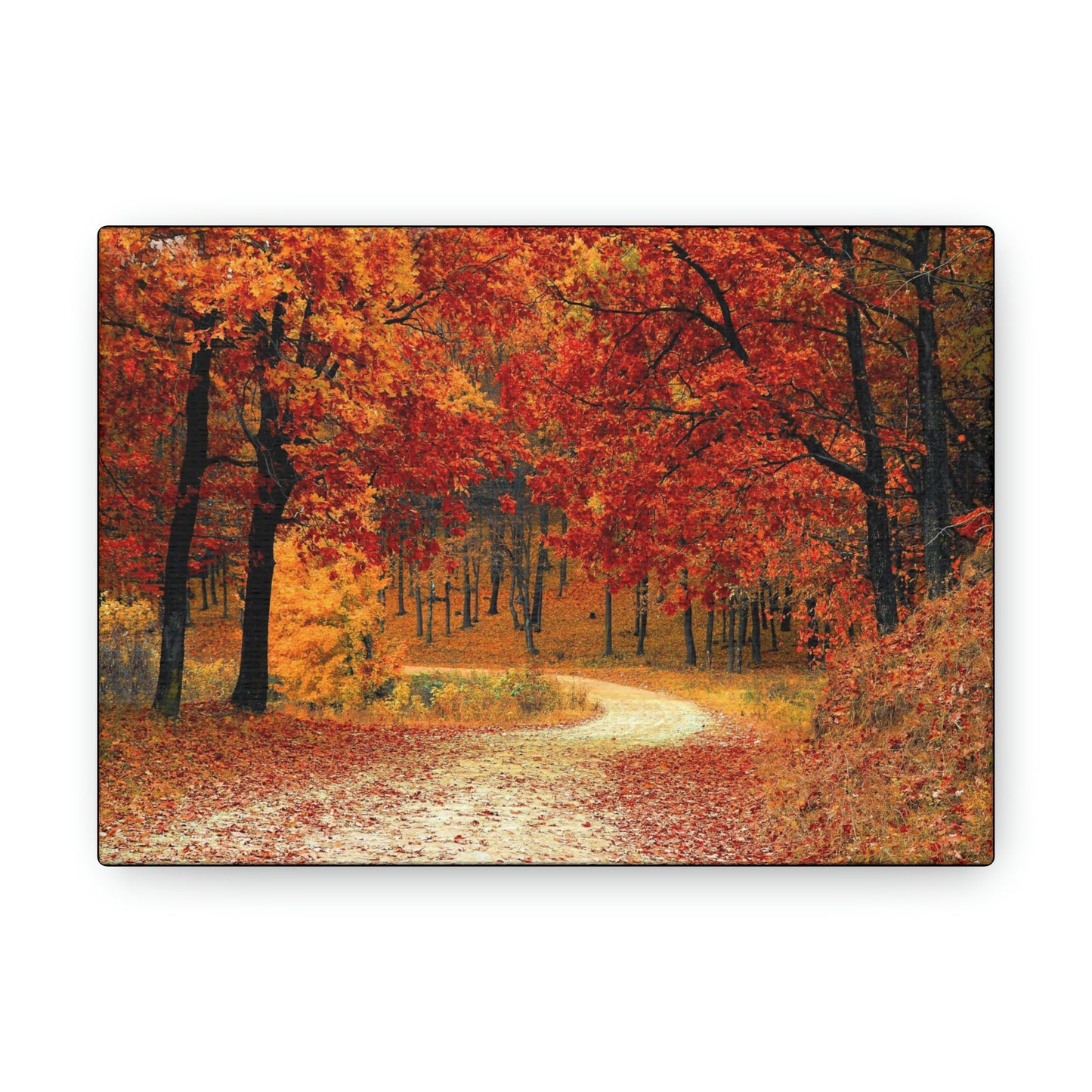 Fall Trail - Foliage forest - Canvas Gallery Wraps