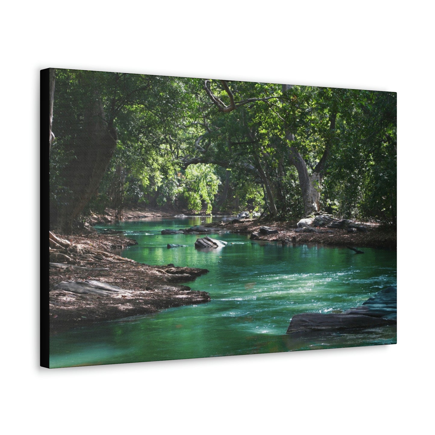 Scenic River - Forest - Canvas Gallery Wraps