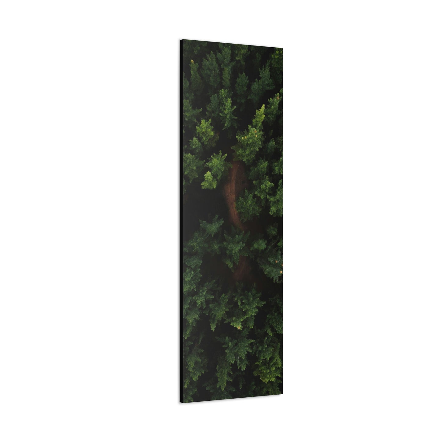 Forest eagle-view - Canvas Gallery Wraps