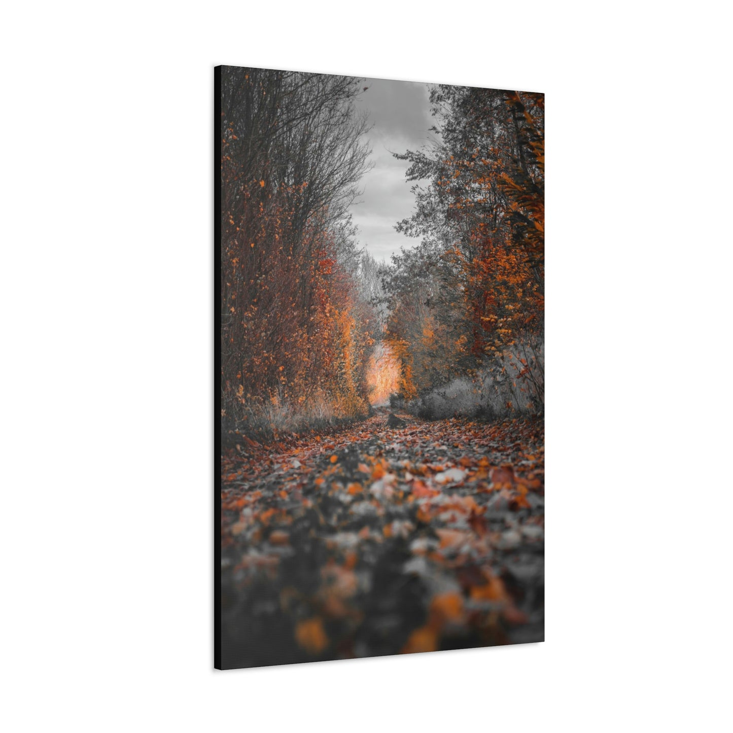 Fall road - Foliage, Nature, Forest, Leaves - Canvas Gallery Wraps