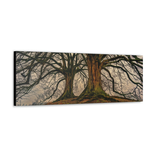 Dark Trees - Nature, Trees, Dark Canvas Gallery Wraps