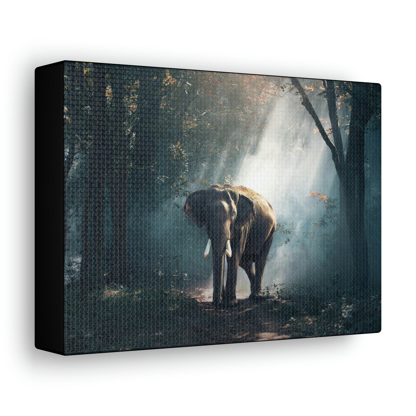 Elephant - Nature, Jungle Canvas Gallery Wraps