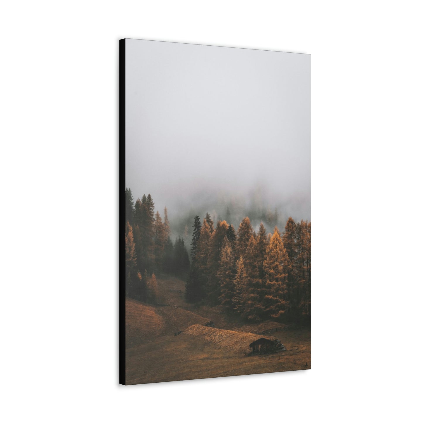 Smokey Mountains, Forest, Fog - Classic Canvas