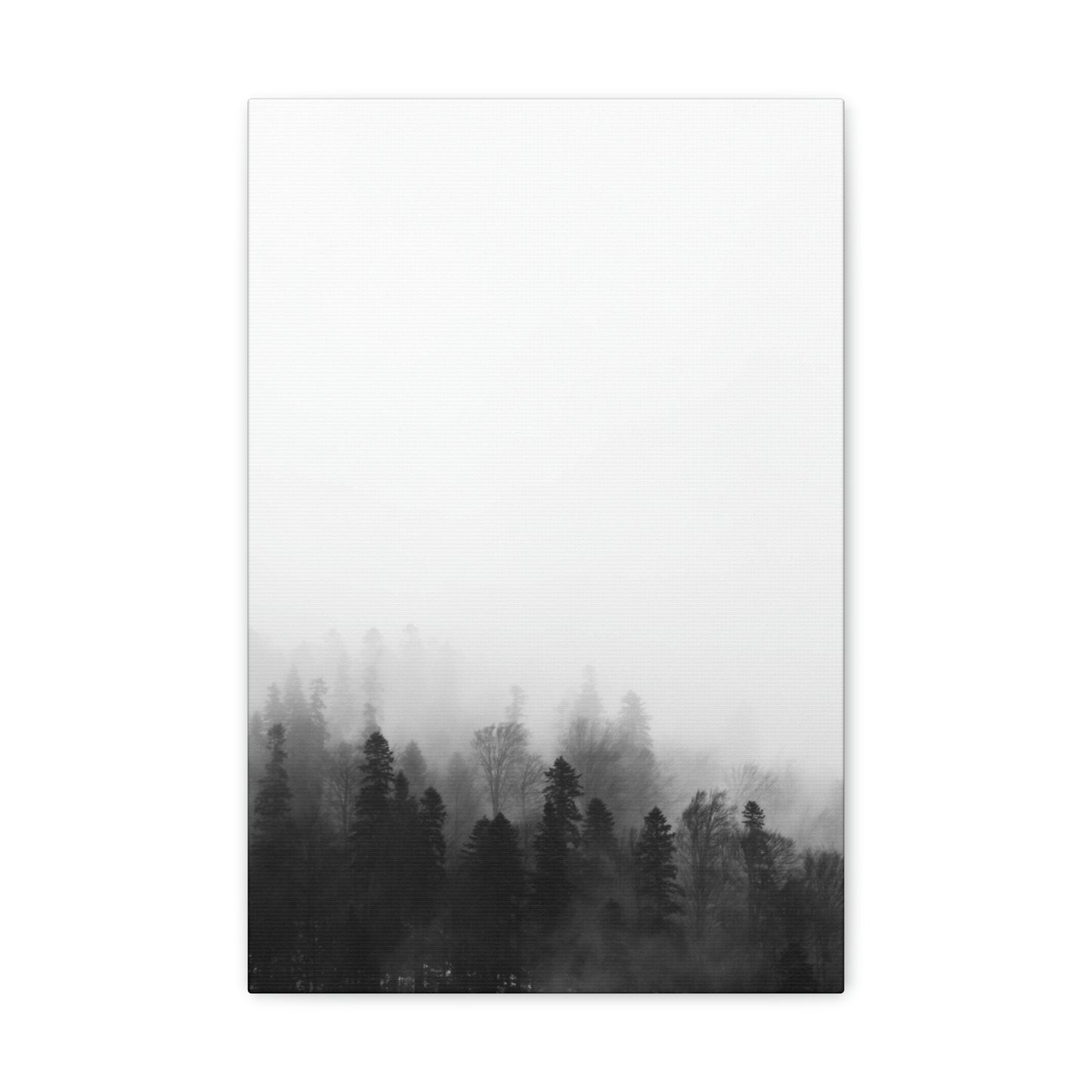 B&W Forest - Canvas Gallery Wraps