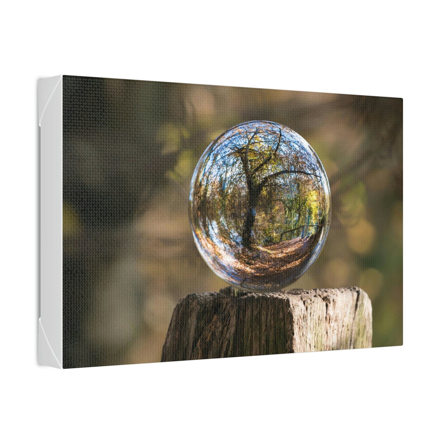 Forest, Globe, Trees, Nature, Forest Globe - Polyester Canvas