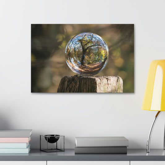 Forest, Globe, Trees, Nature, Forest Globe - Polyester Canvas